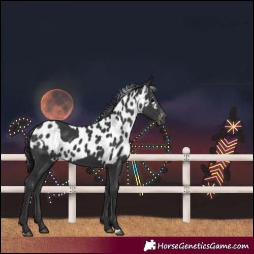 Horse Color:Unknown 