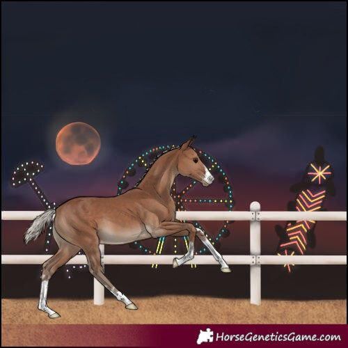 Horse Color:Silver Black Varnish