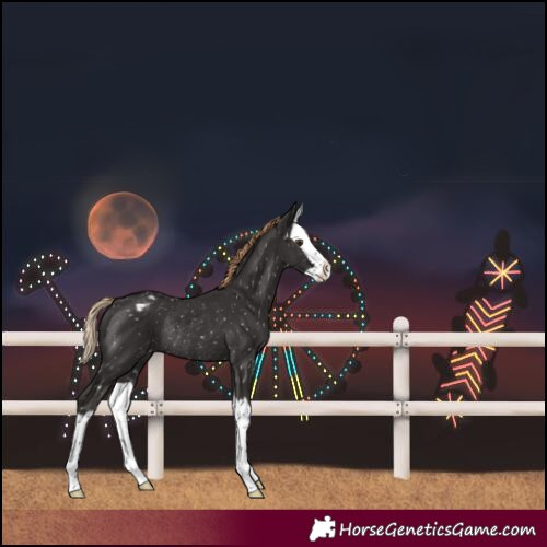 Horse Color:Liver Chestnut Splash Snowflake VarnishRabicano