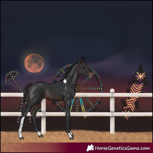 Horse Color:Brown Tobiano Varnish Rabicano