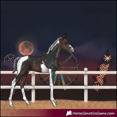 Horse Color:Brown Tobiano 