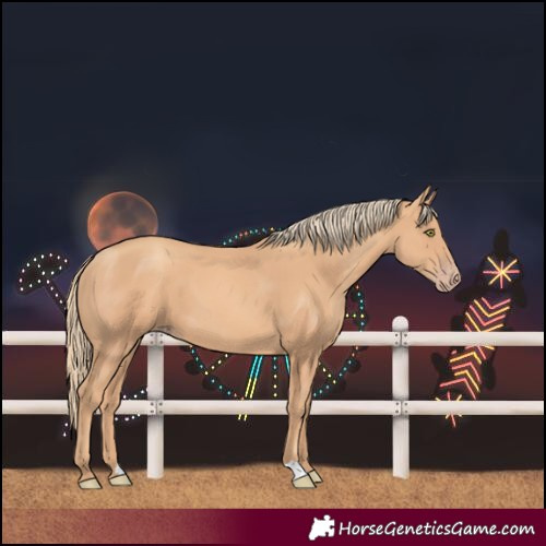 Horse Color:Unknown 