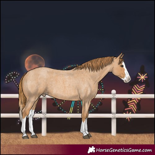 Horse Color:Red Roan Splash Varnish