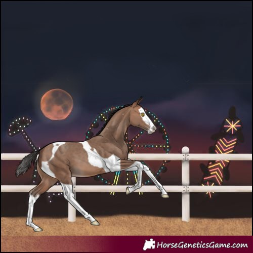 Horse Color:Sable Champagne Splash Tobiano