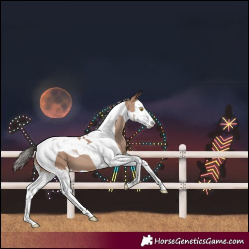 Horse Color:Sable Champagne Splash Tobiano