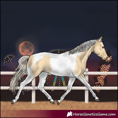 Horse Color:Palomino Dun Tobiano 