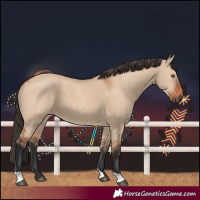 Horse Color:Bay Dun 