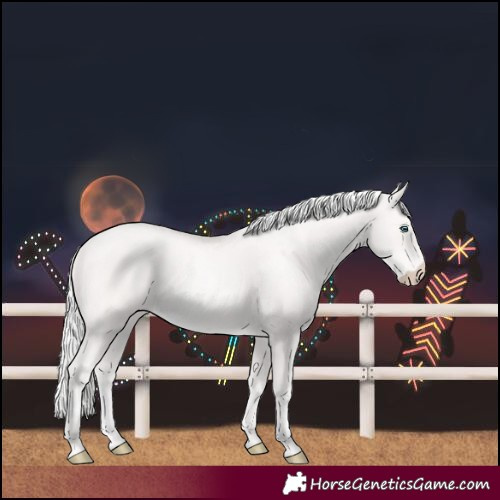 Horse Color:Cremello 
