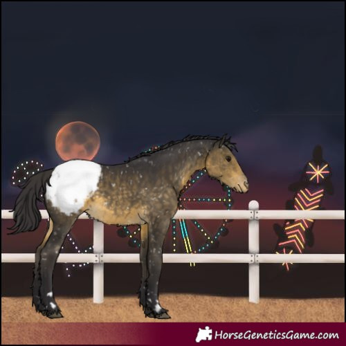 Horse Color:Buckskin Snowcap 
