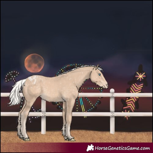 Horse Color:Silver Perlino Snowflake Varnish