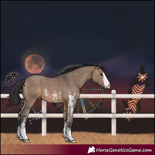 Horse Color:Brown Dun Sabino