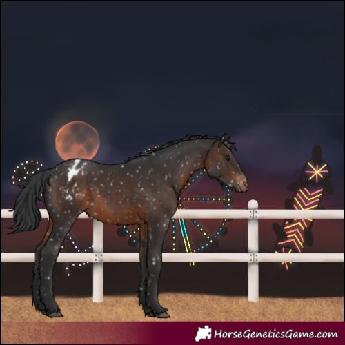 Horse Color:Brown Blanket