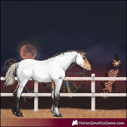Horse Color:Silver Buckskin Sabino Near Fewspot