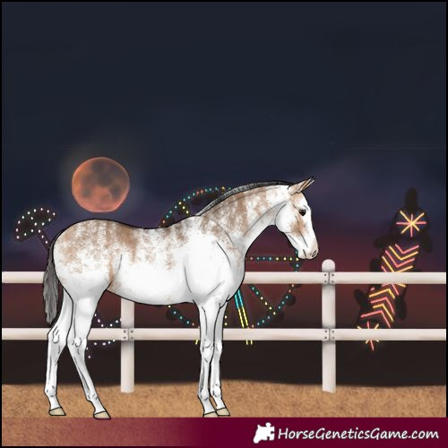 Horse Color:Unknown 