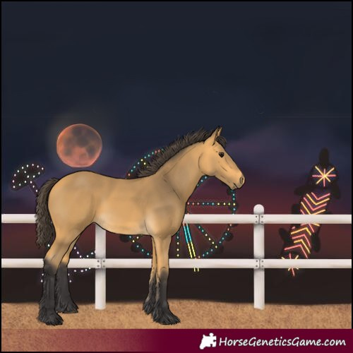 Horse Color:Unknown 