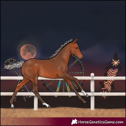 Horse Color:Silver Bay 