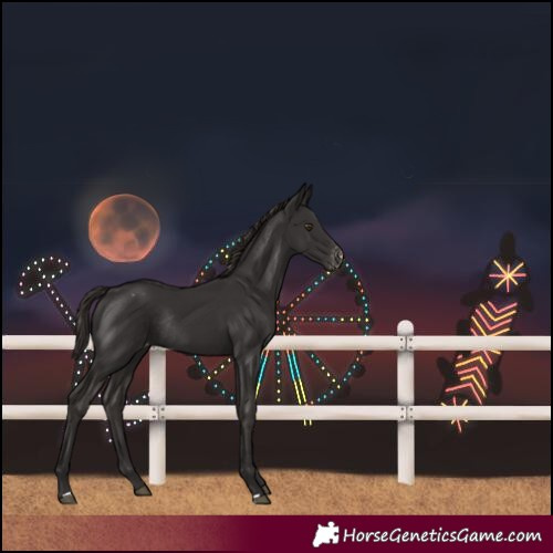 Horse Color:Liver Chestnut Varnish Rabicano