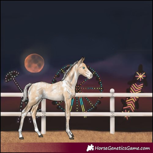 Horse Color:Powder White White Spotted Silver Black Snowdrop Pearl 