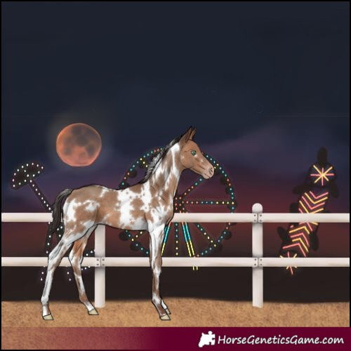 Horse Color:White Spotted Sable Champagne
