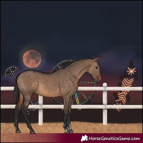 Horse Color:Unknown 