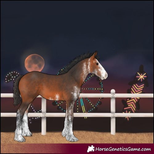 Horse Color:Unknown 