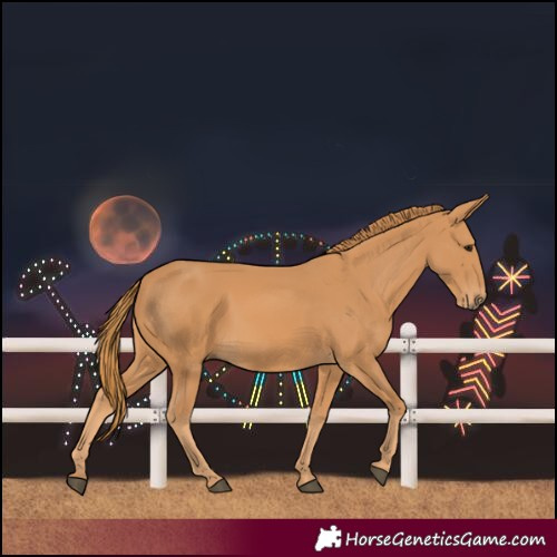 Horse Color:Chestnut Rabicano 