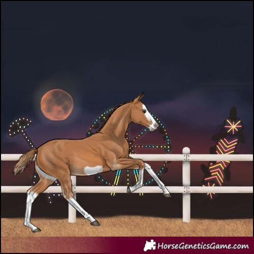 Horse Color:Chestnut Splash Frame 