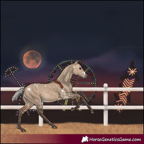 Horse Color:White Spotted Silver Bay Dun 