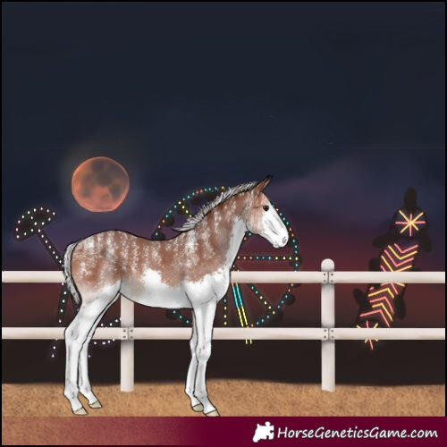Horse Color:Powder White Silver Brown Sabino Splash