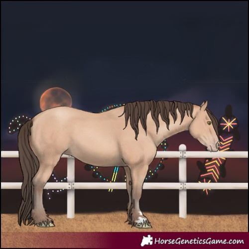 Horse Color:Amber Champagne 