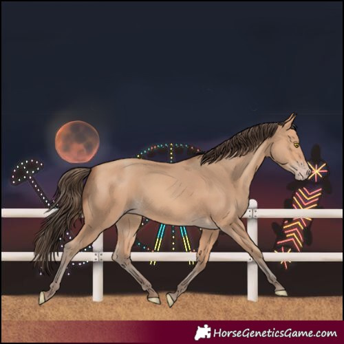 Horse Color:Amber Champagne 