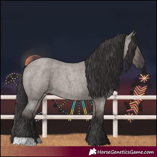Horse Color:Smoky Grullo Roan