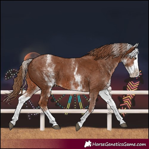 Horse Color:White Spotted Chestnut Splash