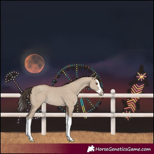 Horse Color:Classic Champagne Dun Splash