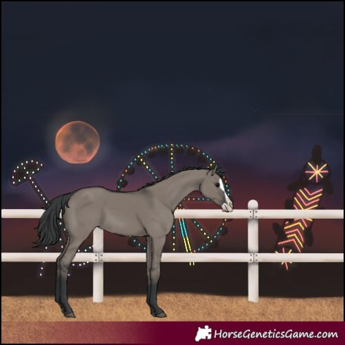 Horse Color:Grullo Splash 