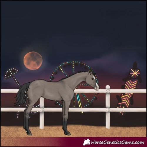 Horse Color:Grullo Splash 