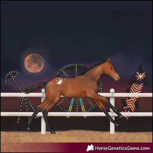 Horse Color:Bay Varnish 