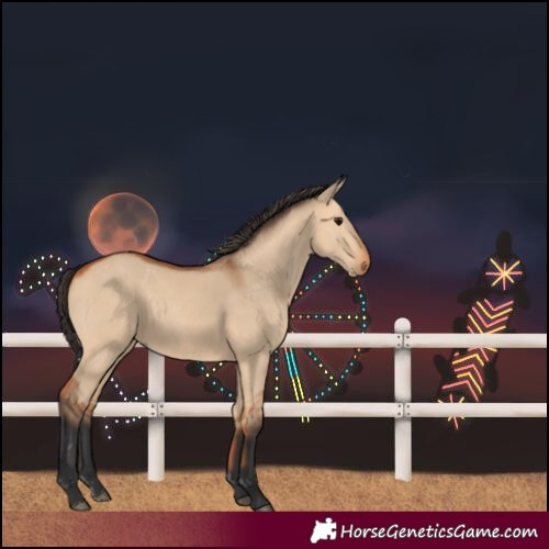 Horse Color:Bay Dun Rabicano