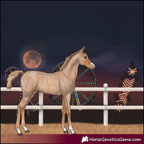 Horse Color:Red Roan