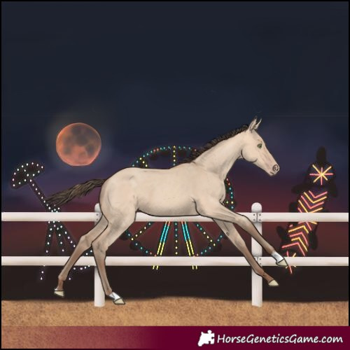 Horse Color:Amber Champagne Dun 