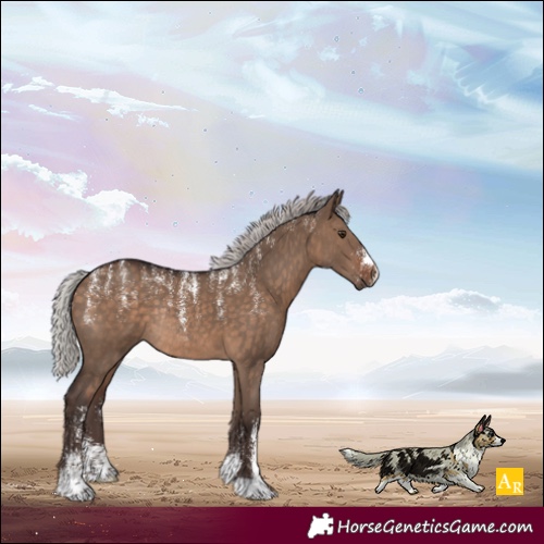 Horse Color:Powder White Silver Brown Dun Rabicano