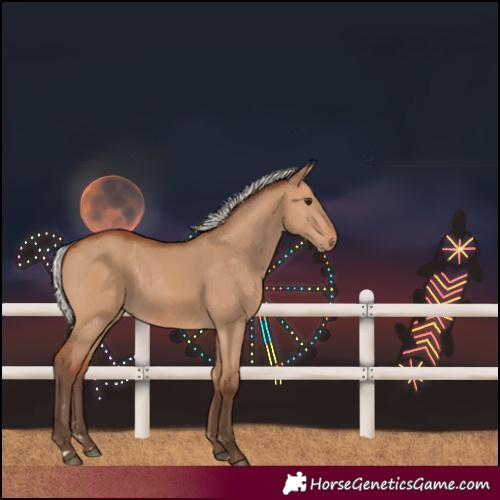 Horse Color:Silver Bay Dun Rabicano 