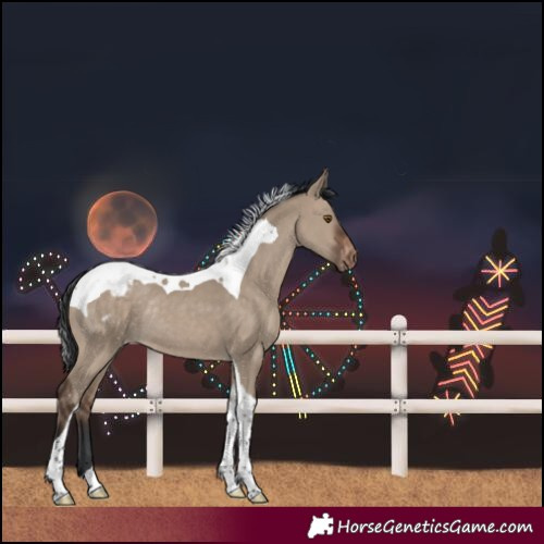 Horse Color:Brown Dun Tobiano Blanket Rabicano 