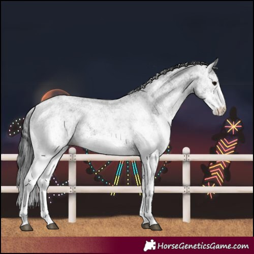Horse Color:White Spotted Black 