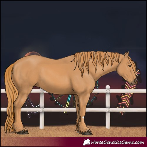 Horse Color:Unknown 