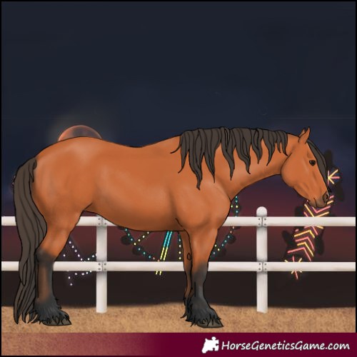 Horse Color:Unknown 