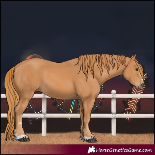 Horse Color:Unknown
