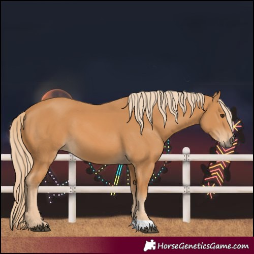 Horse Color:Unknown 