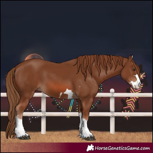 Horse Color:Unknown 