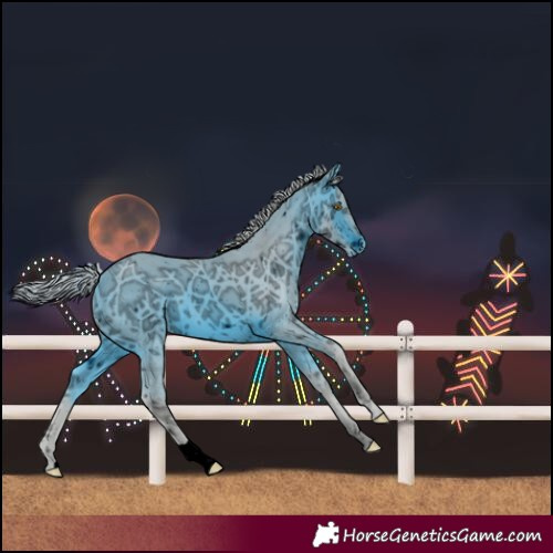 Horse Color:ERROR: UNKNOWN ANOMALY